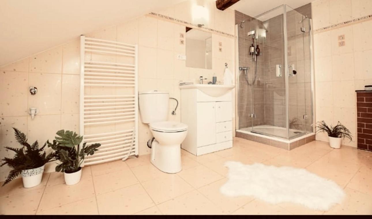 Apartman Penelope Zatec  Exterior photo